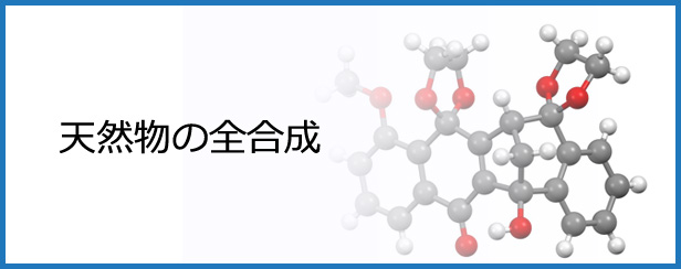 天然物の全合成