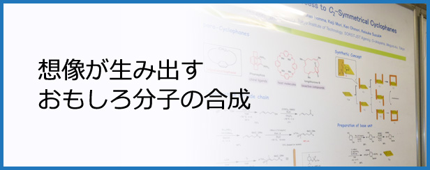 想像が生み出すおもしろ分子の合成