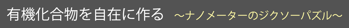 有機化合物を自在に作る ～ナノメーターのジクソーパズル～